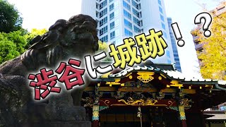 【渋谷城跡】金王八幡宮【都会のオアシス】