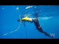 one breath freediving aida monofin course pt.2 depth **paralenz**