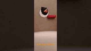 Duck stop motion Ep1 Going to the bathroom! #shorts #stopmotion #Duck #bathroom  #bath #stop #motion