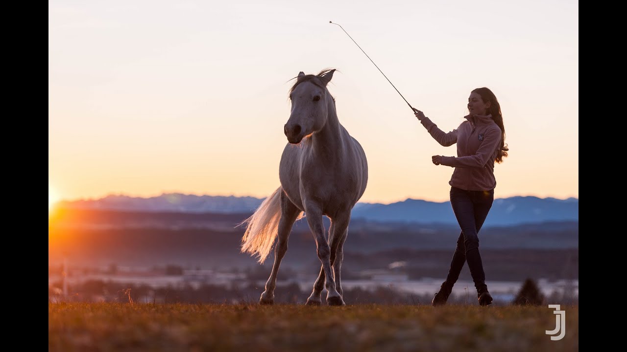 Freiheitsdressur April 2020 Youtube