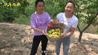 农村妯娌俩上山摘杏，看见杏就像山药蛋那么大，还没吃就流口水了