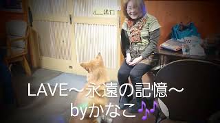 LAVE～永遠の記憶～「秋元順子」byかなこ🎶2025/02/02