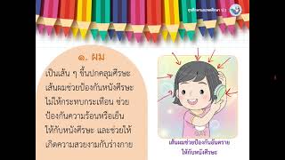 อวัยวะภายในร่างกาย วิชาสุขศึกษา ป.1