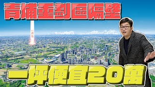 【Joeman】划算嗎？買在青埔隔壁一坪便宜20萬！聖岳湖苑《Joe是要看房》ep.33