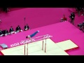 Mens Gymnastics All Round Final London 2012 Olympics, Parallel Bars