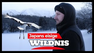 DerHauge in Japan: Adler, Kraniche und Eis | Hokkaido im Winter