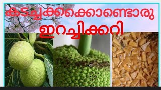 കടച്ചക്ക കൊണ്ട് ഇറച്ചിക്കറിയുടെ അതെ രുചിയിൽ ഒരടിപൊളി കറി ഉണ്ടാക്കാം