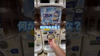 【ガチャ】LOTTE COOLish ミニチュアマスコット #ガチャガチャ #ガチャ動画 #ロッテ #クーリッシュ #バニラ #ウルトラニュープランニング