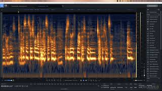 RX 8 Introduction & Spectrogram Basics