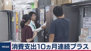 ９月の家計調査　消費支出9.5％増　10ヵ月連続プラス