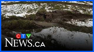 Ontario couple upset after an Amazon delivery truck causes landscaping damage