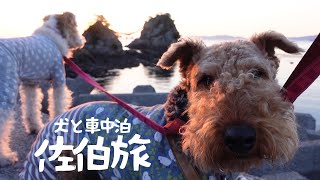 日の出を見に久しぶりに愛犬と車中泊旅【大分佐伯・前編】 MugiVlog69