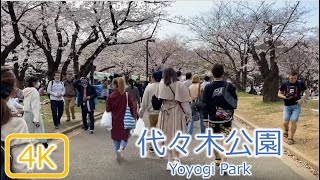 [4K花見] 2020 代々木公園 Yoyogi Park, Tokyo [Cherry Blossom (Sakura) ]