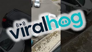 Driver Makes Several Attempts to Escape Parking Spot || ViralHog