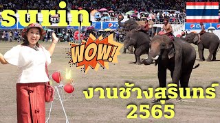 Surin Elephant Round-Up Festival, Powerful traditional elephant entertainment