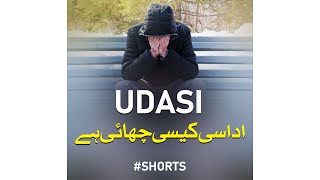 Udasi Kesi Chayi Hai - Abdul Rehman Rehmani - Peace Studio Shorts #shorts