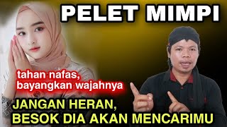 PELET MEDIA MIMPI JARAK JAUH \