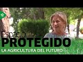 Espacio protegido | La agricultura del futuro