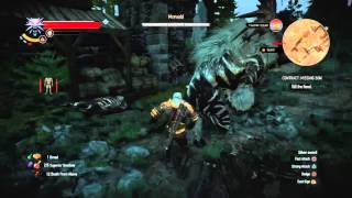 The Witcher 3: Wild Hunt Morvudd secret boss