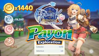 Ragnarok Origin Classic: Payon Exploration Guide!