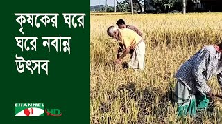 নবান্ন উৎসবে মাঠে নতুন ধান কাটা ও মাড়াইয়ে ব্যস্ত কৃষক