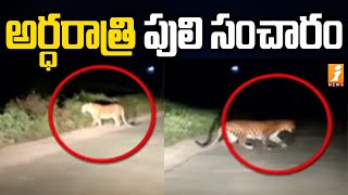 అర్ధరాత్రి పులి సంచారం | Leopard Hulchul in Nirmal District | Cheetah in Nirmal | iNews