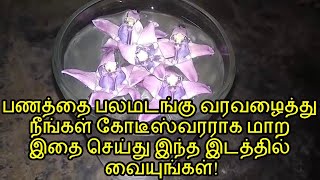 பணம் பலமடங்கு சேர்ந்துகொண்டே இருக்க இதை செய்து மறக்காமல் இங்கே வையுங்கள்!|Flower to join the money