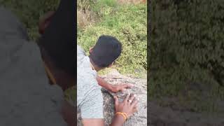 மலை உச்சியில் இருந்த காட்டுப் பழங்கள்/🍀🍀#forest #hunting #hills #shorts