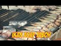 IKAN ASAP TABOH | JEJAK SI GUNDUL (08/07/21)