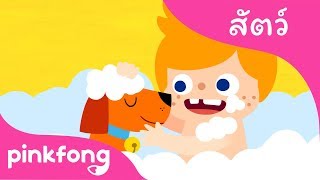 เพื่อนสัตว์เลี้ยง | เพลงสัตว์ | พิ้งฟอง(Pinkfong) เพลงและนิทาน