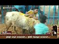 avaniyapuram jallikattu 2022 இறுதிக்கட்டத்தை எட்டிய அவனியாபுரம் ஜல்லிக்கட்டு