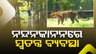 Nandankanan zoo comes up with special diet, arrangements for animals