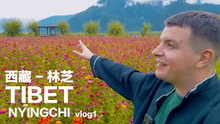 TIBET VLOG1: Nyingchi - Everywhere is Beautiful 英国小哥的西藏vlog1林芝 处处是风景！