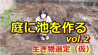 庭に池を作るvol.2池の概要、浅瀬やろ過装置の位置など