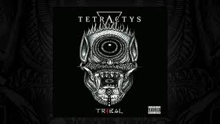 TETRACTYS - Covered In Ashes