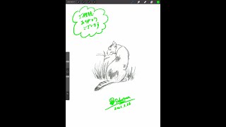 🎨絵を描く練習✍️【485】猫 🐈 📚参考本：見てすぐ描ける動物スケッチ／視覚デザイン研究所 著