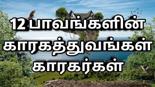 12 பாவங்களின் காரகத்துவங்கள் | காரகர்கள் | Karagathuvam for 12 houses | Astro S Loganathan | Tamil