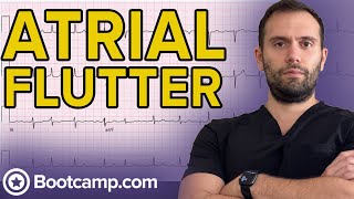 Atrial Flutter | HIGH-YIELD CARDIOLOGY | USMLE STEP 1