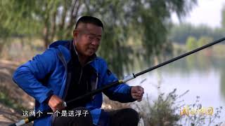 《游钓中国》第四季 第46集 初探白洋淀“大炮”打白鲫 Fishing tour in China【游钓中国栏目组】