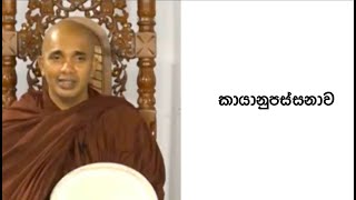 Ven.Ududumbara Kashyapa Thero -Nivan Maga -කායානුපස්සනාව