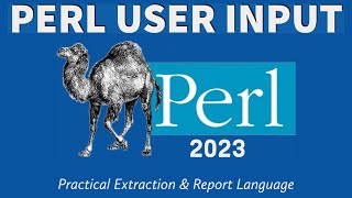 Perl Programming - STDIN User Input 2023
