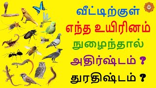 வீட்டிற்குள் எந்த உயிரினம் வந்தால் அதிர்ஷ்டம் ? துரதிஷ்டம் ?