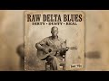 Big Joe Williams – Nine-String Road Blues (1935–1945) | Southern Testimonies