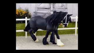 breyer and schleich horses