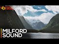 Milford Sound Cruise | New Zealand | World Culture Network