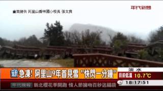 冷! 阿里山9年來首見瑞雪 梨山下冰霰