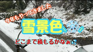 雪景色❄固定カメラチャット部屋今年も雪の季節がやってきた💦