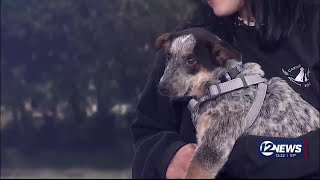 Newstalk Caring Hands Humane Society- Lord Voldemort