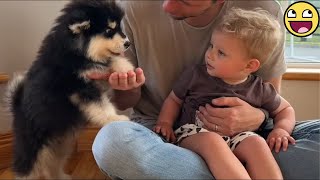 🐕 Babies & Dogs Being Besties – Adorable & Funny!💞