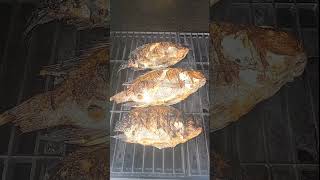 Grilling Tilapia #shorts